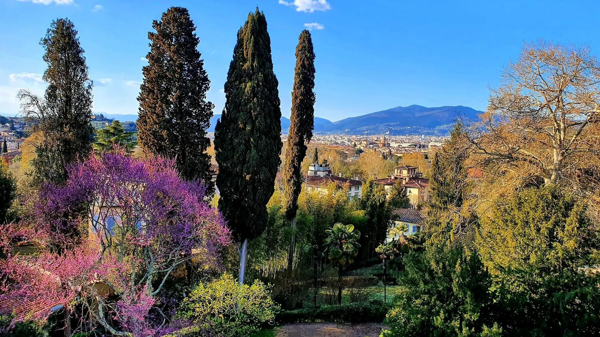 Villa Nardi - Residenza D'Epoca Флоренция Отель